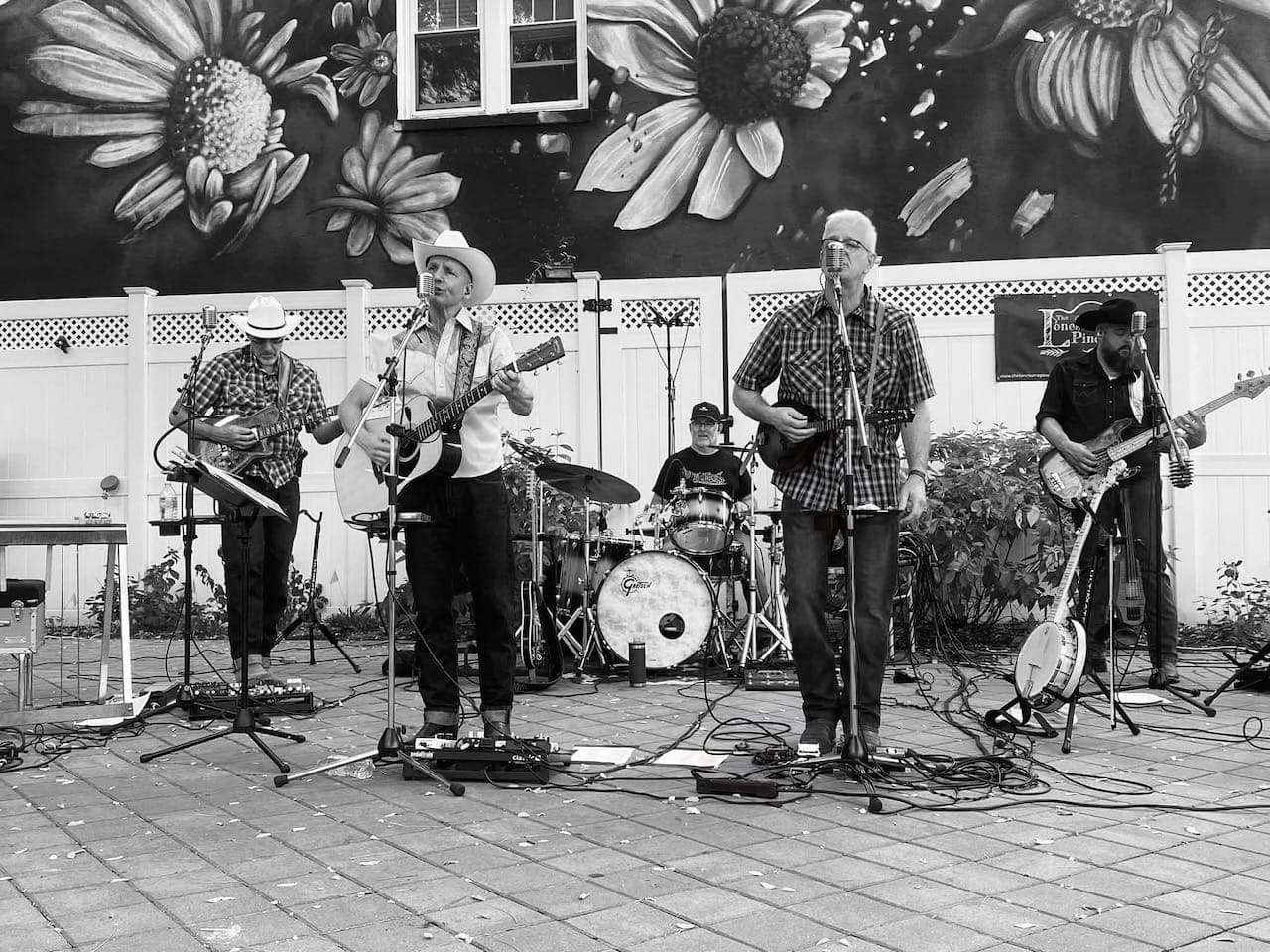 The Lonesome Pines perform their Country Western-inflected roots rock at Rahway Arts District Park on Saturday, Sept. 12.